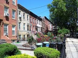 Carroll Gardens Row Of Houses