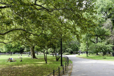 McCarren Park View