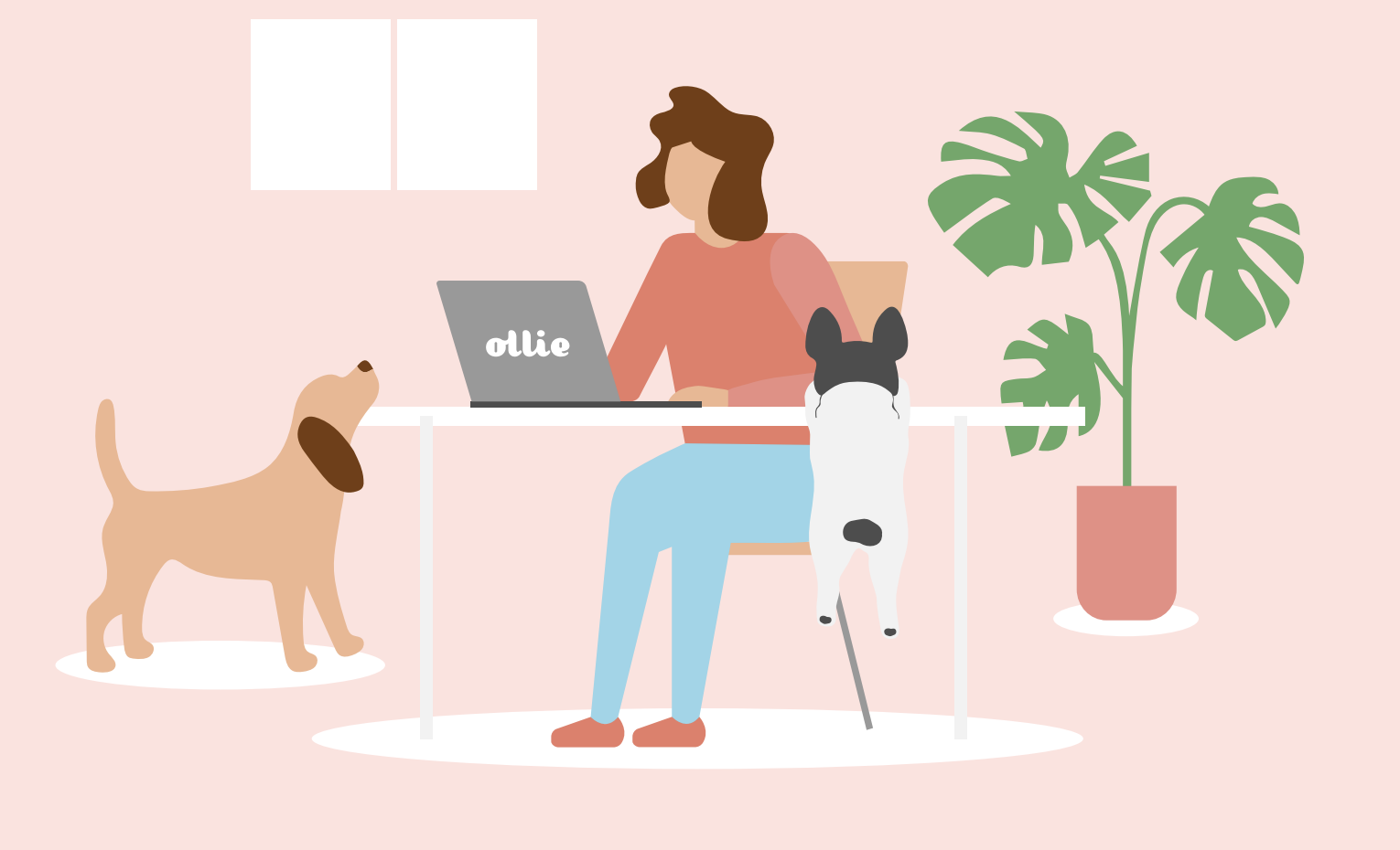 New office space for Ollie