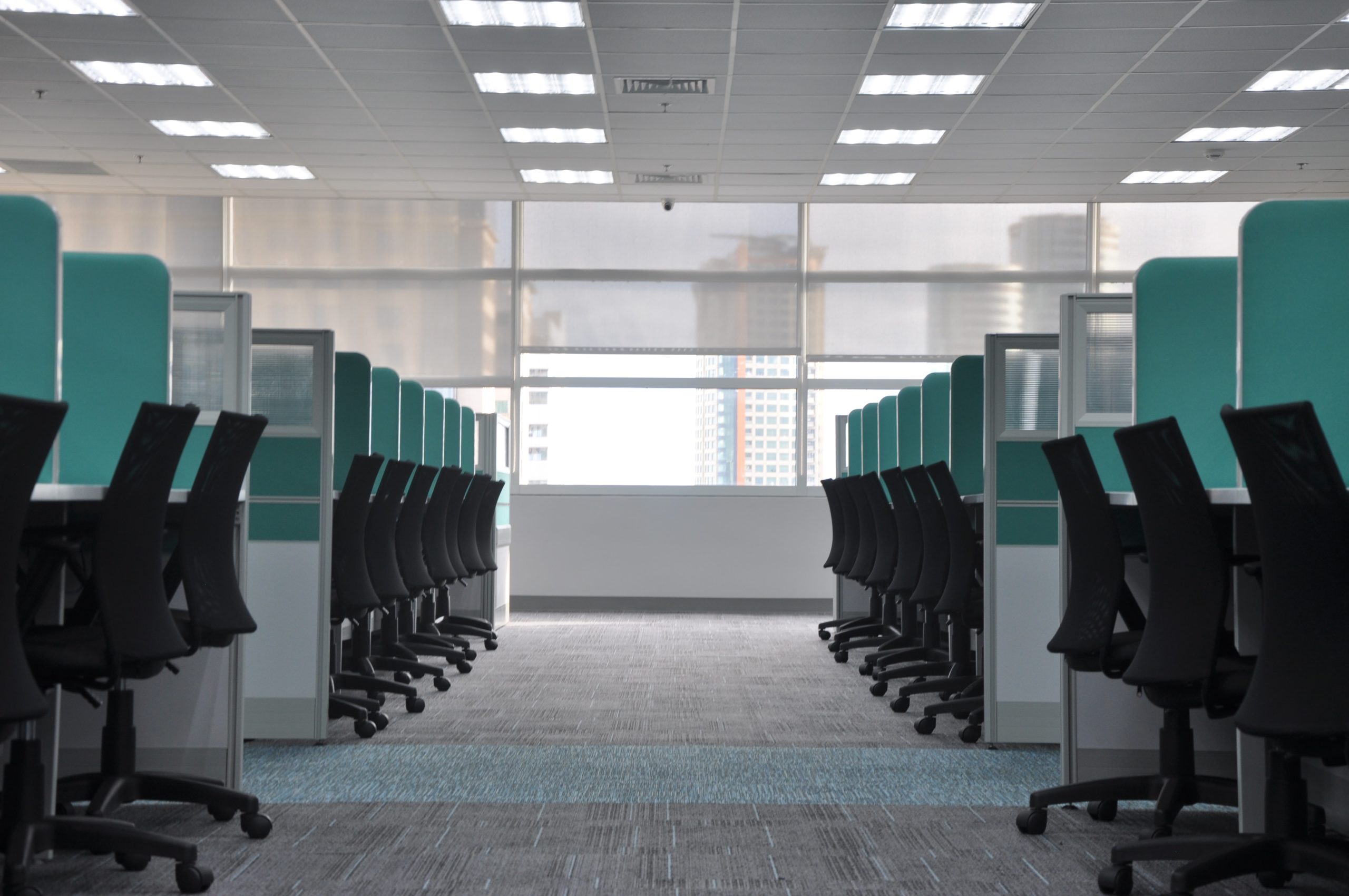 Office with rows of cubicles